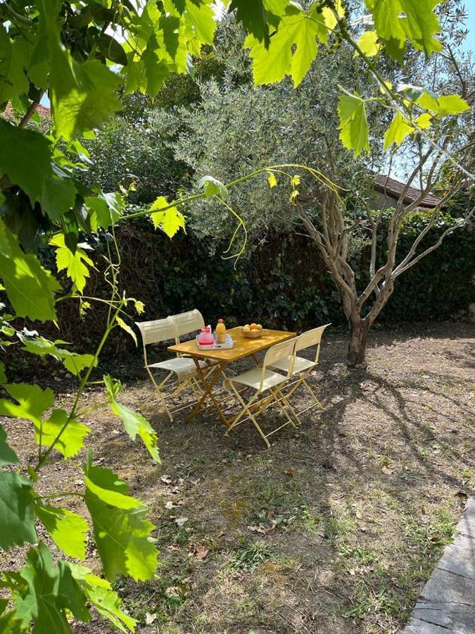 Appartement Maison De Charme Avec Jardin à Carcassonne Extérieur photo